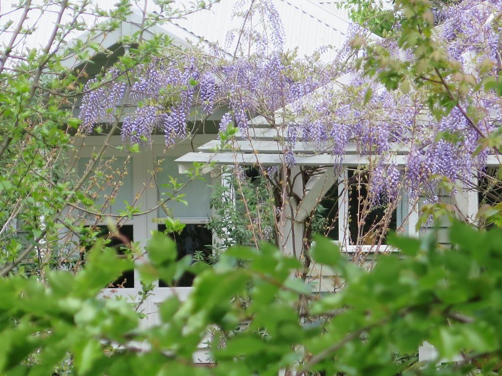 Amelina Cottages Marysville Buitenkant foto